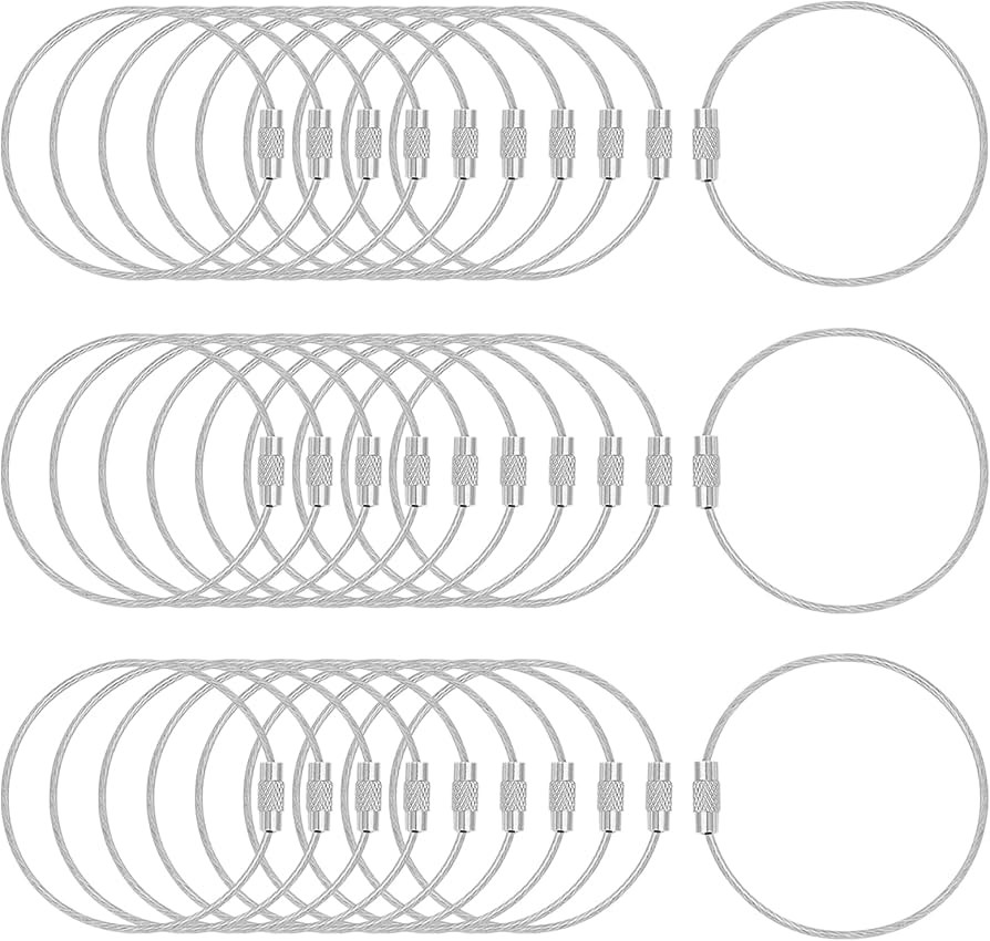 DFTOA-30 Pack 6 inch Extendable Wire Keychain Cable/Luggage Tags/Loops Holder/ID Tag Keeper, Silv... | Amazon (US)