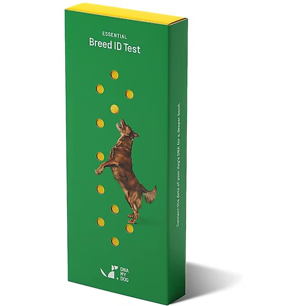 DNA MY DOG Essential Breed Identification Test - Chewy.com | Chewy.com