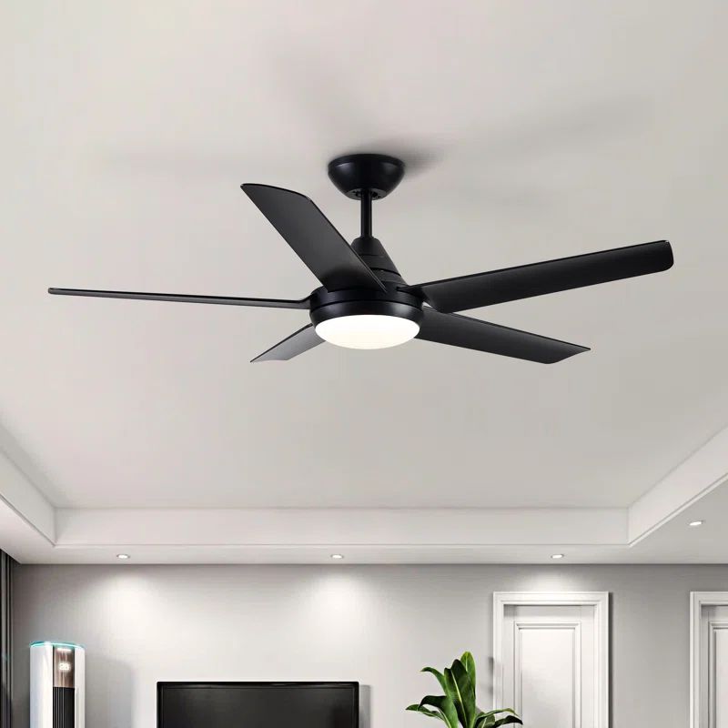 Modern Ceiling Fan with Light 48'' 5-Blade Ceiling Fan With Light Kit And Dimmable LED Light Kit | Wayfair North America