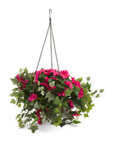 Outdoor Covered Porch Safe Morning Glory Hanging Basket | Marshalls