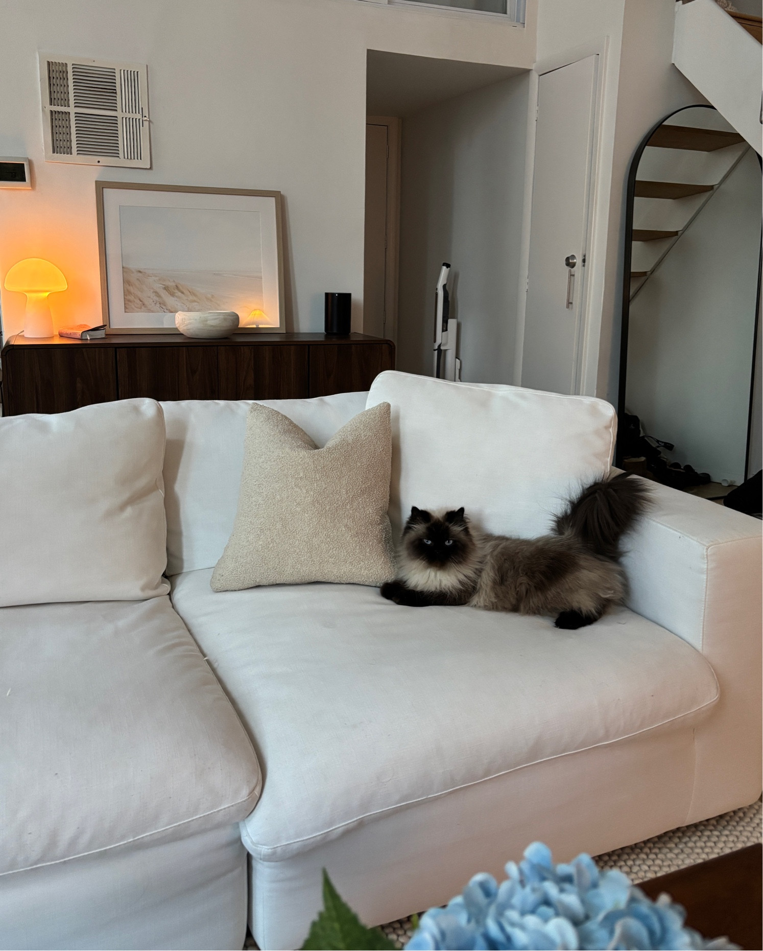 Kitty in the city #whitecouch #apartmenttour #homeinspo #homedecor #nyc 

#LTKHome