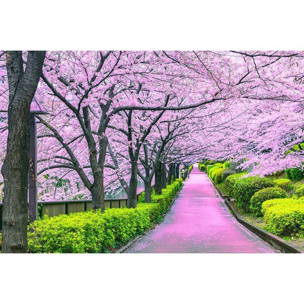 Toynk Cherry Blossom Bliss Tokyo Japan Puzzle | 1000 Piece Jigsaw Puzzle | Target
