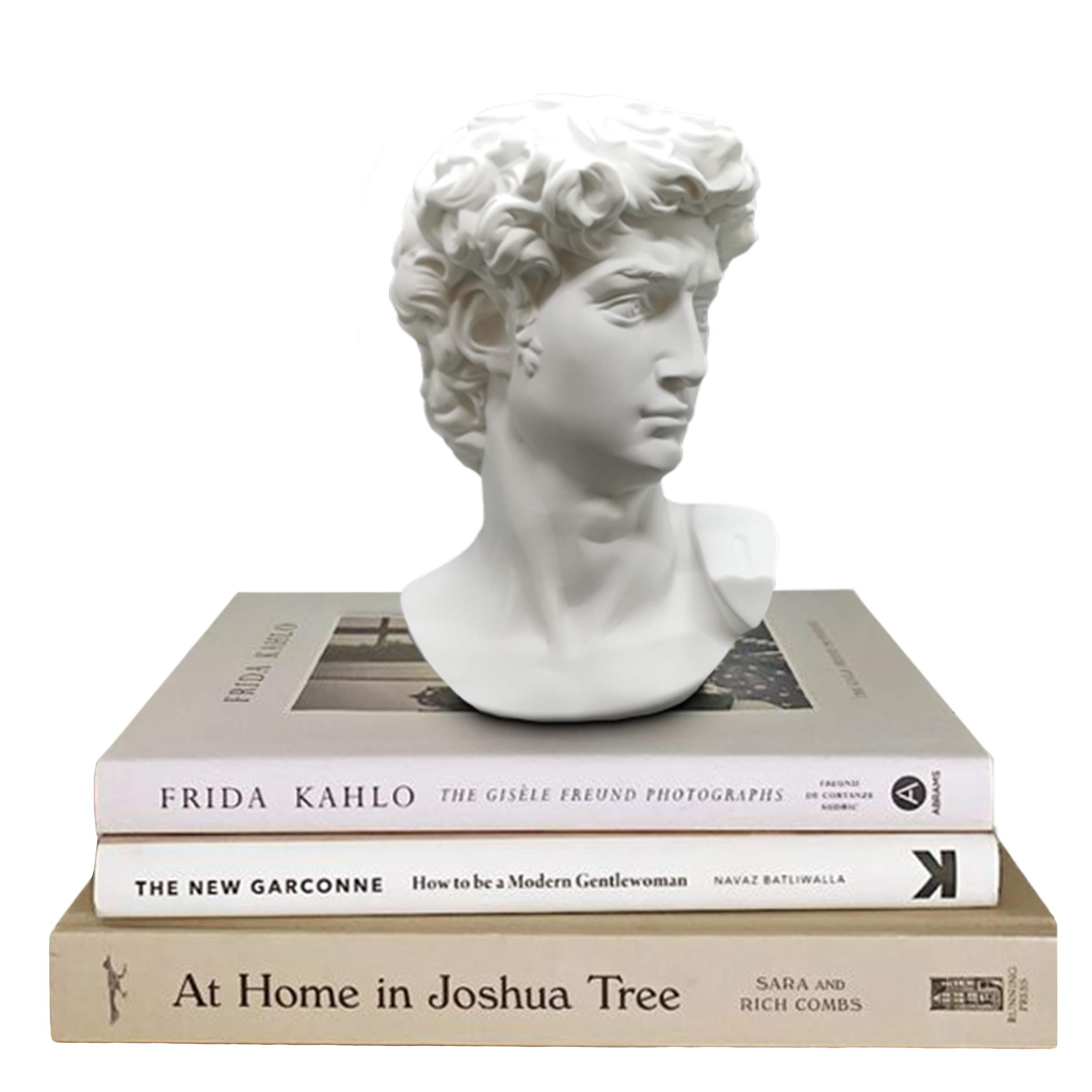 Greek Statue of David - Head Bust for Mythology and Roman Home Decor | Amazon (US)