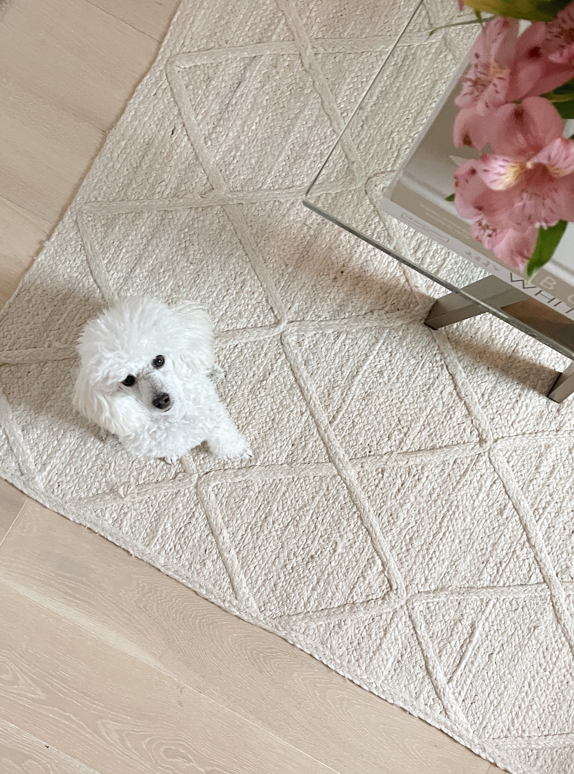 Serena and lily sale, diamond jute rug, rug sale, home decor, area rug 

#LTKsalealert #LTKCyberweek #LTKhome