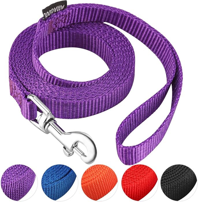 AMAGOOD 6 FT Puppy/Leash, Strong Traditional Style with Easy to Use Collar Hook, Great for Small,... | Amazon (US)
