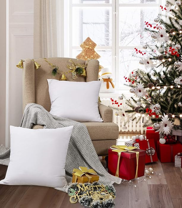 Blue Ridge Home Fashions Feather Down Pillow Square Euro Size Set of 2 Pack Customized Halloween/Christmas Decorations Throw Pillow for Livingroon/Bedroom | Amazon (US)