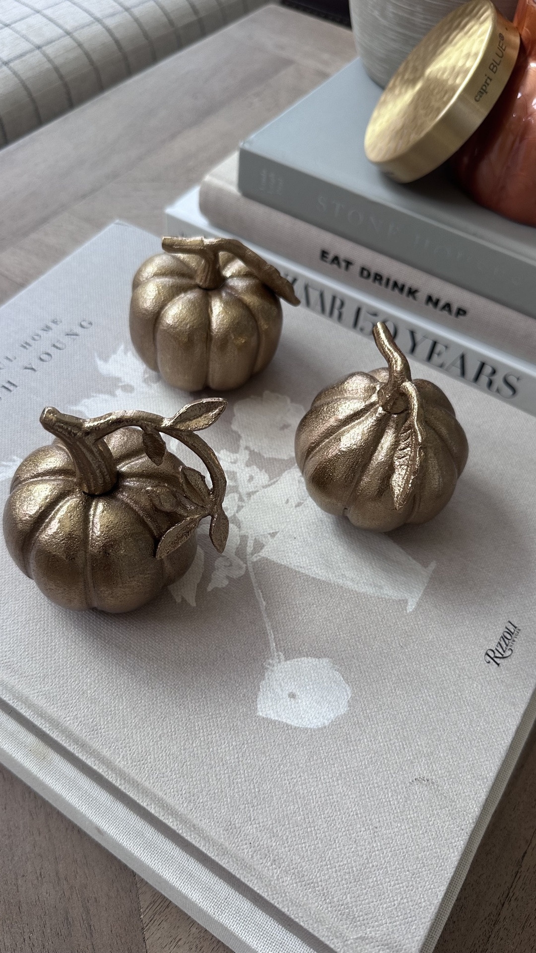 Fall home decor
These mini gold pumpkins are so cute! Perfect on a coffee table

#LTKHome