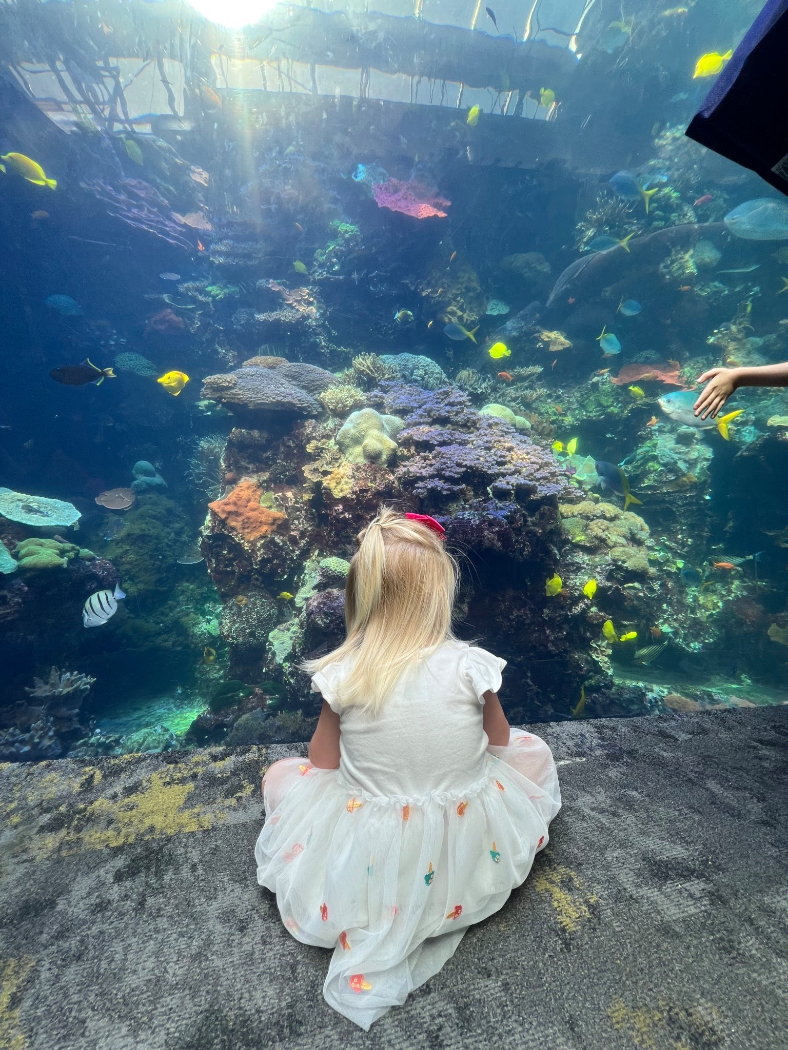 Cutest toddler dress

#LTKStyleTip #LTKFamily #LTKKids