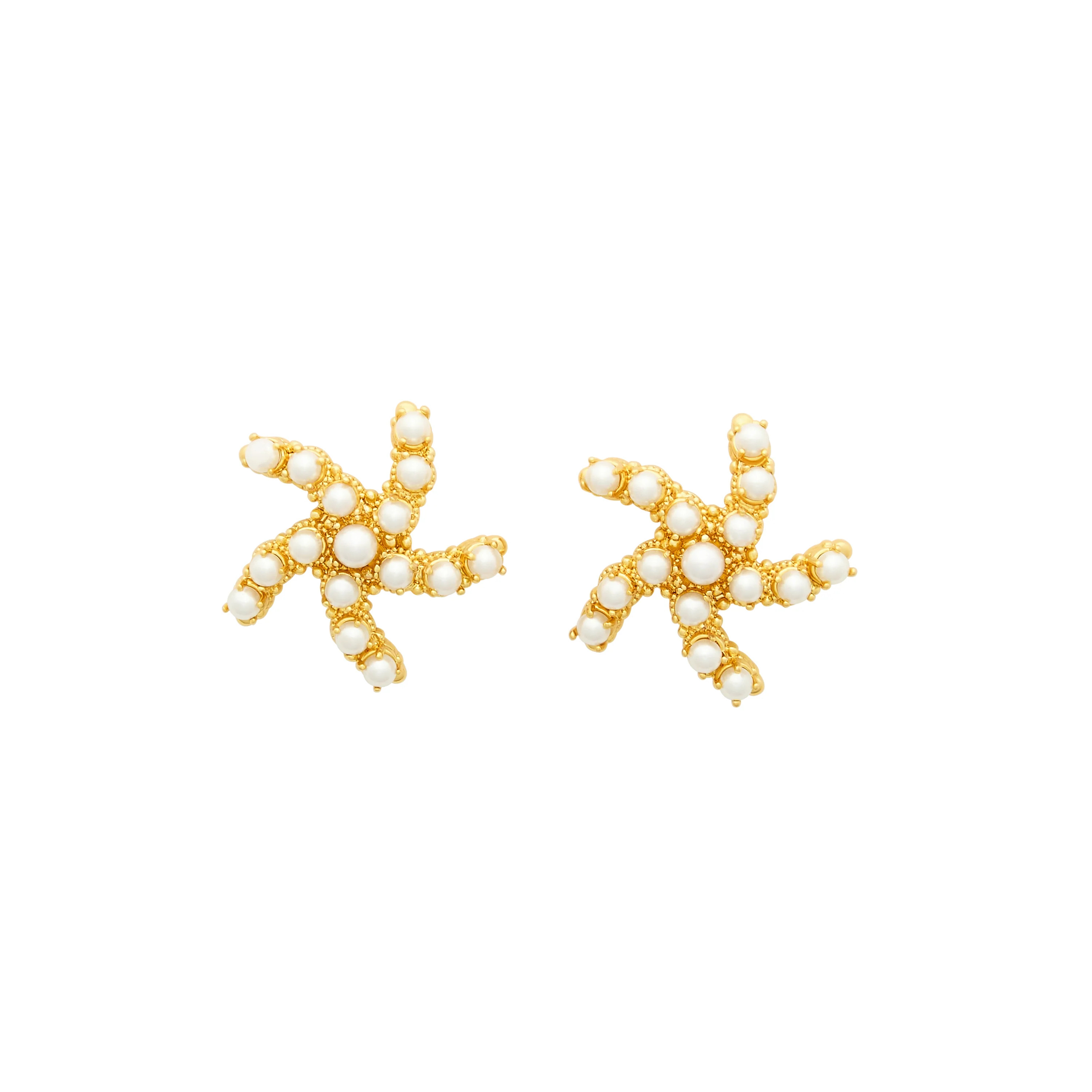 Sea Star Earrings | Brinker & Eliza