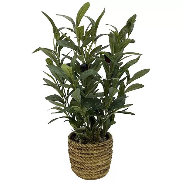 Sonoma Goods For Life® Artificial Olive Plant Floor Decor | Kohl's