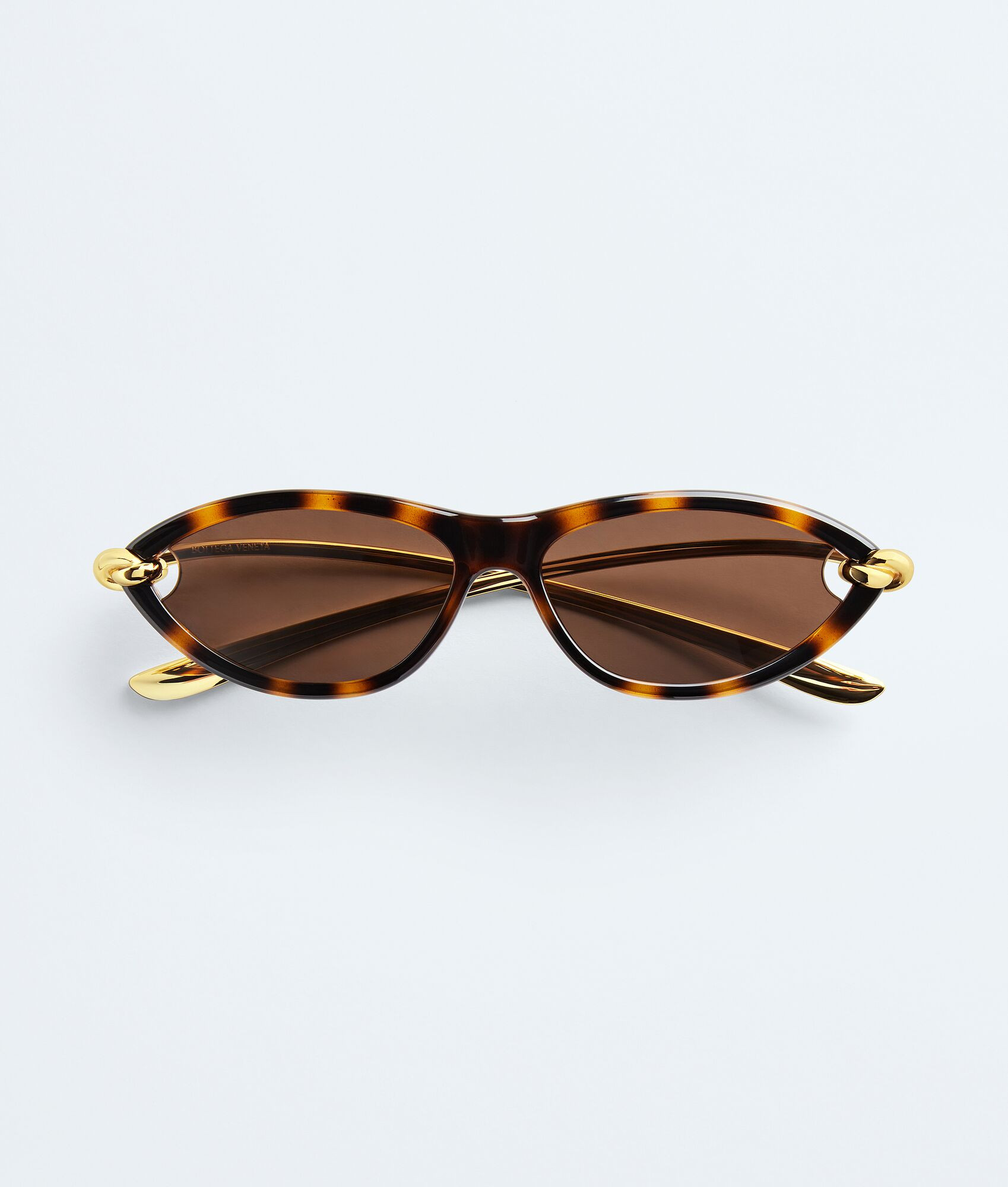 Knot Cat Eye Sunglasses | Bottega Veneta