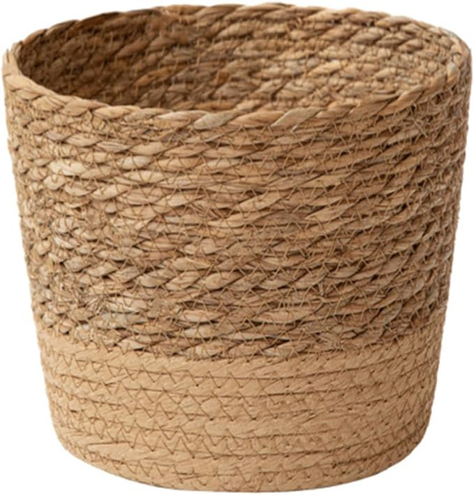 Jute Rope Plant Basket Indoor Modern Woven Flower Pot Basket Seagrass Storage Organizer Planter R... | Amazon (US)