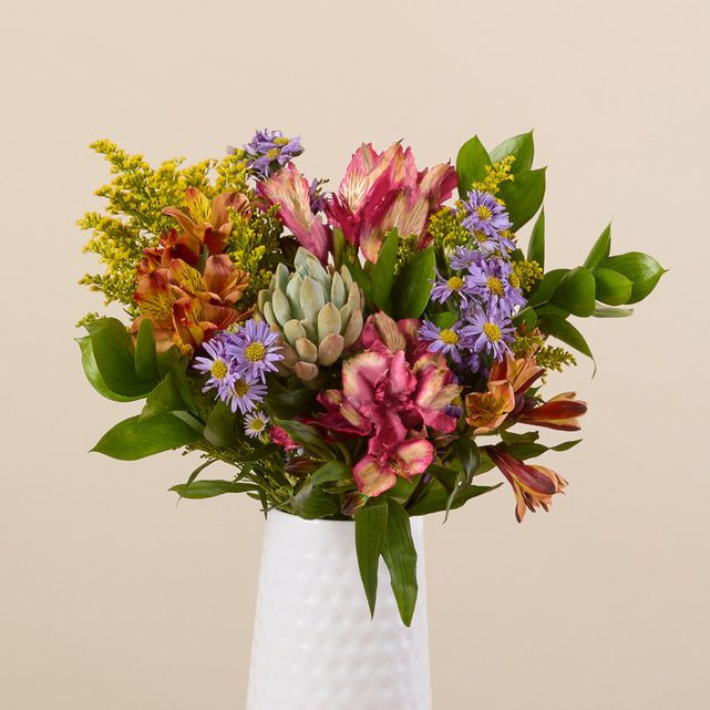 Wild About U | The Bouqs