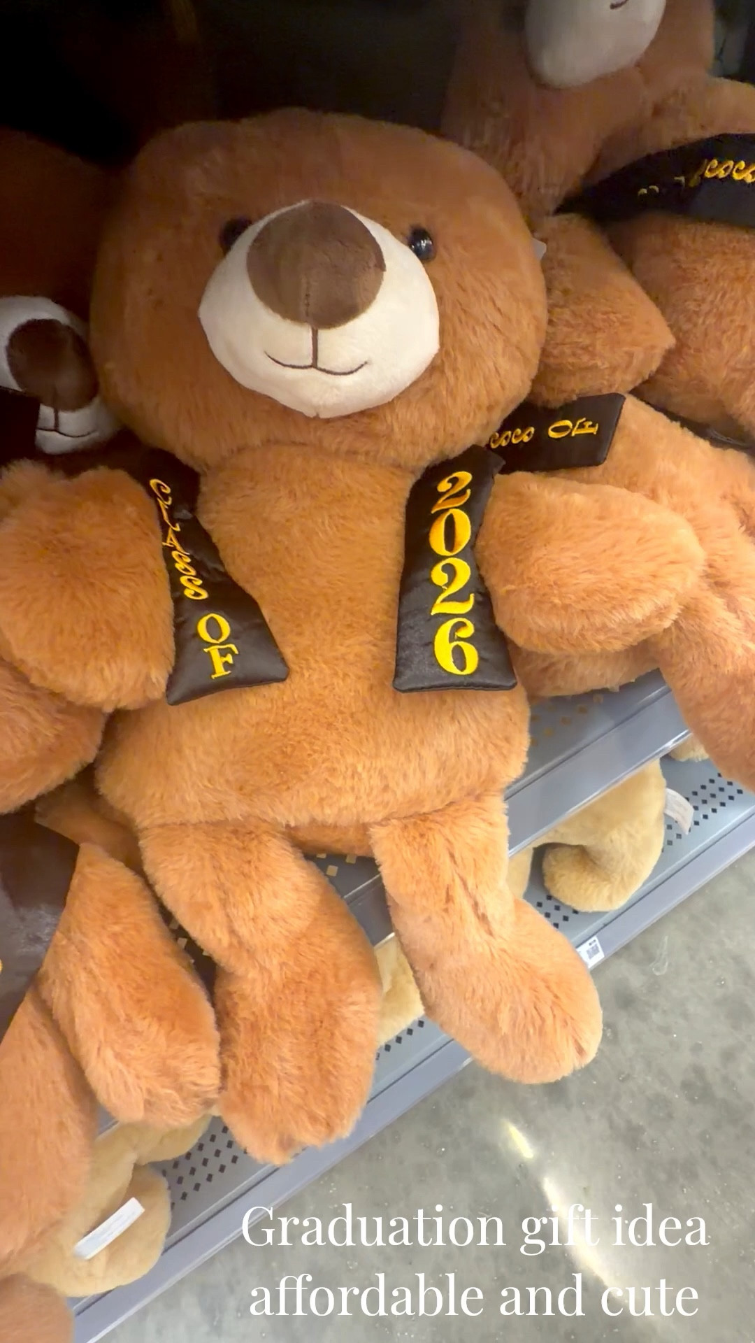 🎓✨ Graduation gift idea that’s soft, sweet, and unforgettable 🧸💙
This plush graduation bear is the perfect keepsake for any 2026 grad! It’s giving “congrats, you did it!” energy while still being super affordable and thoughtful.

Pair it with a gift card, cash tucked into a card, or a little personalized note to make it even more special 🎁
Such a cute display piece for graduation parties too! #GraduationGift #ClassOf2026 #GiftIdeas #LTKFinds #GradGifts #GraduationSeason #AffordableGifts #GiftGuide #CuteGiftIdeas #GraduationParty #GraduationBear #CollegeGrad #HighSchoolGrad #TrendingFinds