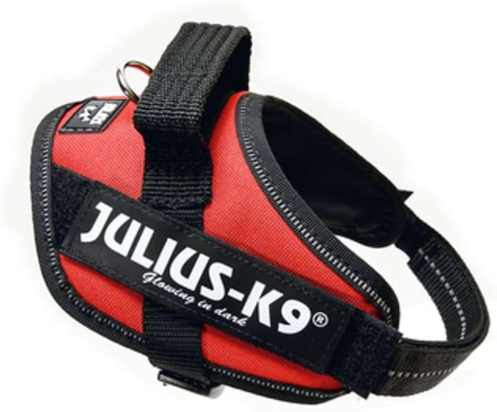 IDC Powerharness, Size: S/Mini, Red | Amazon (US)