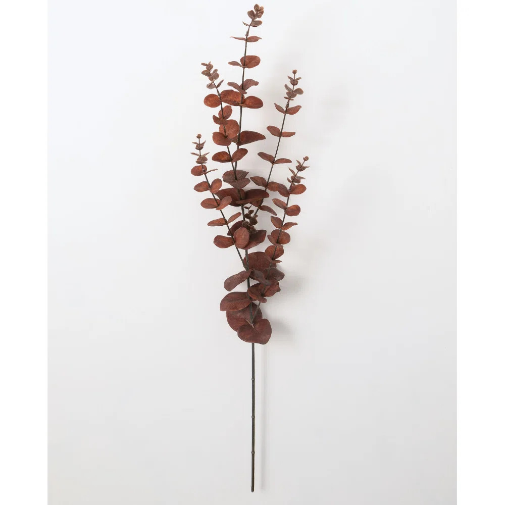 Eucalyptus Arrangement | Wayfair North America