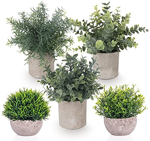 Fake Plants,5 Pack Small Fake Plants Mini Potted Artificial Eucalyptus Greenery Plastic Green Grass Plants for Indoor Outdoor,Mini Faux Plant for Shelve Desk Table Farmhouse Bathroom Shelf Decor | Amazon (US)