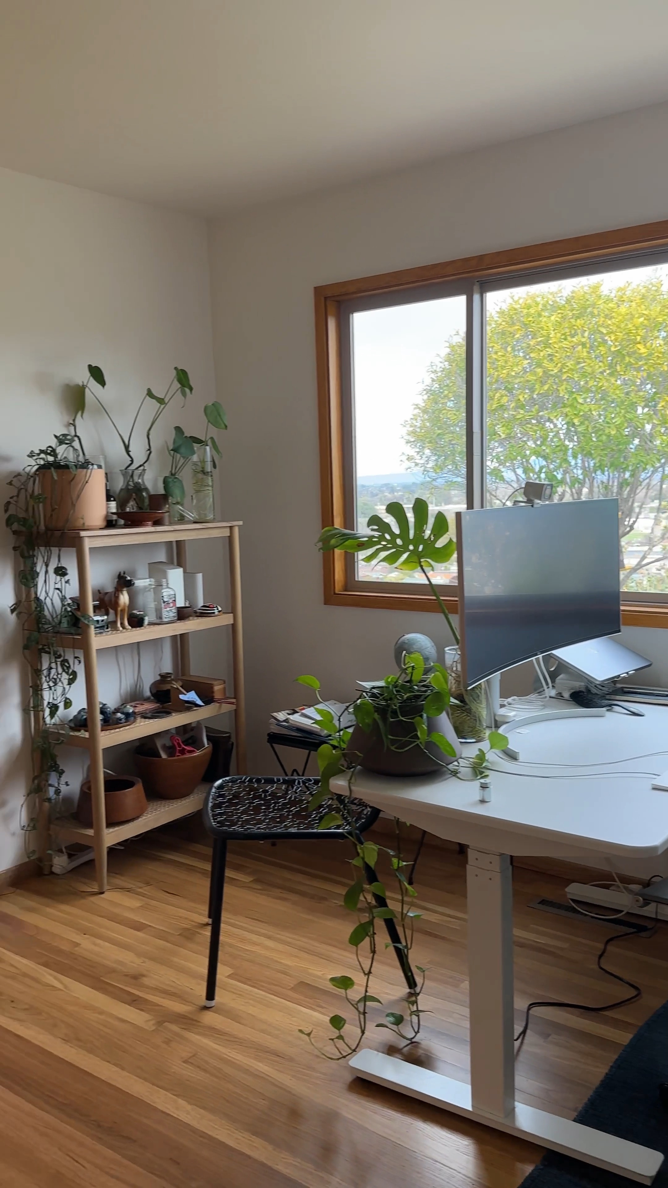 Work From Home Office // standing desk, modern office chair, caned shelving, indoor plants, vintage cameras, Kallax bookshelf, vintage Daisy wire chair 

#LTKhome