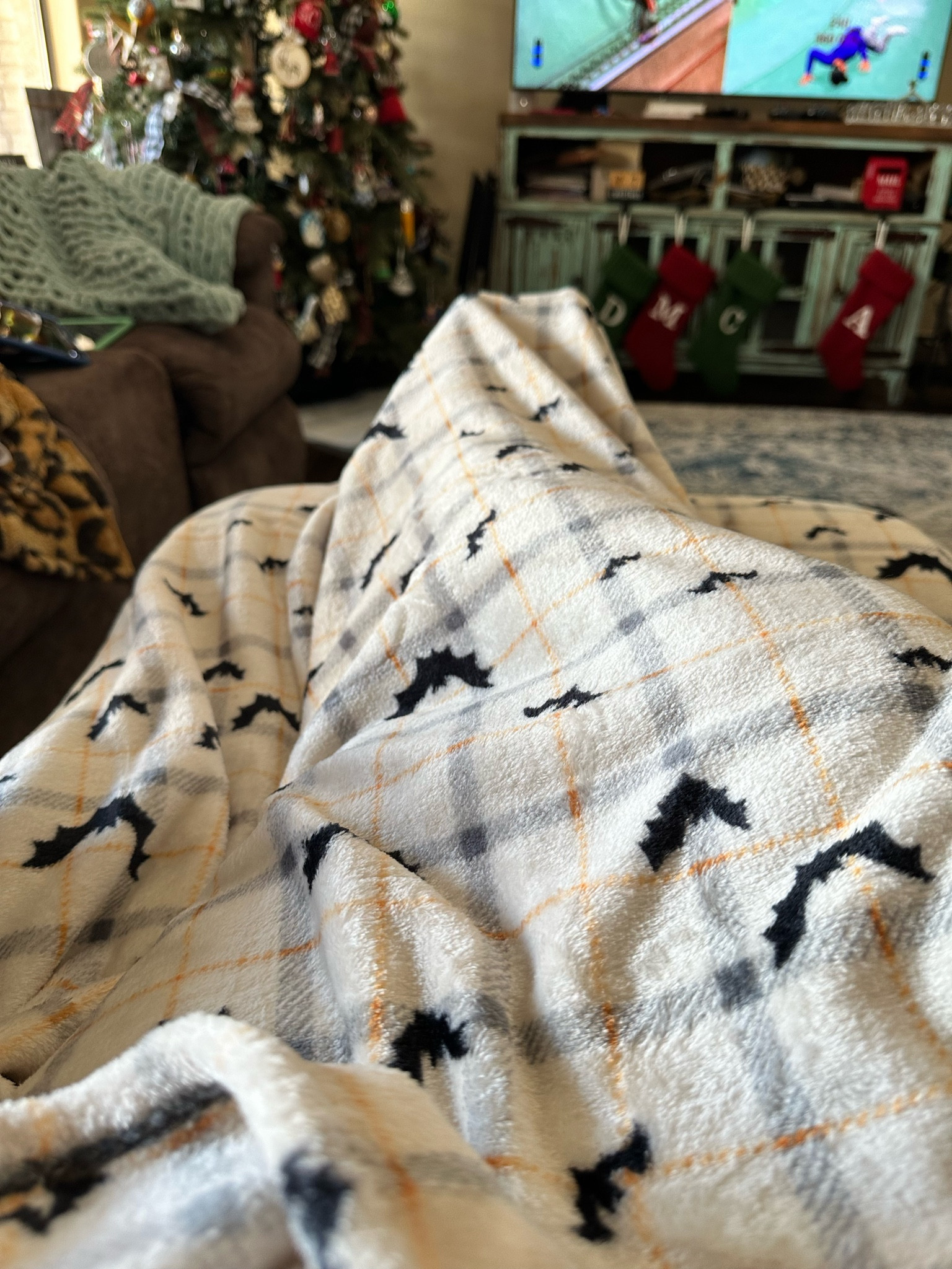 #halloween #bats #blanket