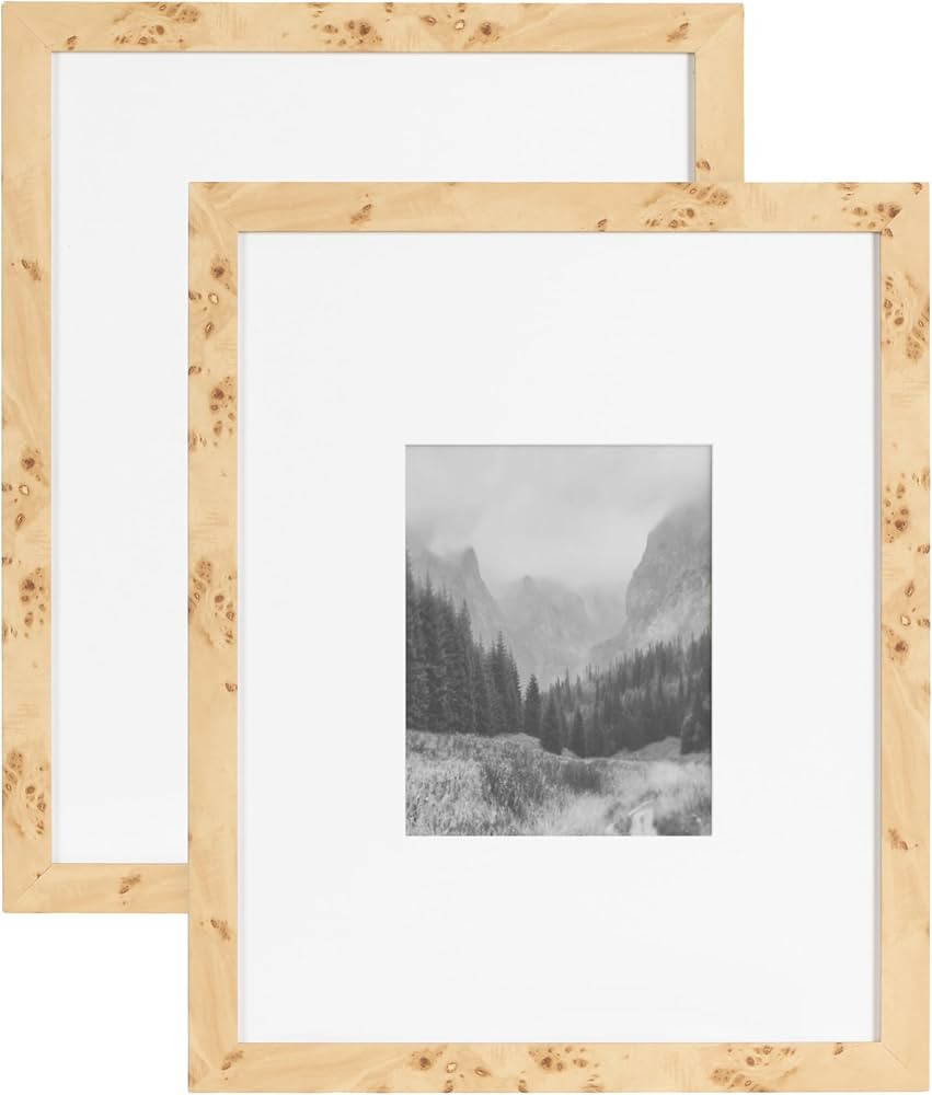 Kate and Laurel Burlock Transitional Faux Burlwood Picture Frame Set of 2, 16 x 20 matted to 8 x ... | Amazon (US)