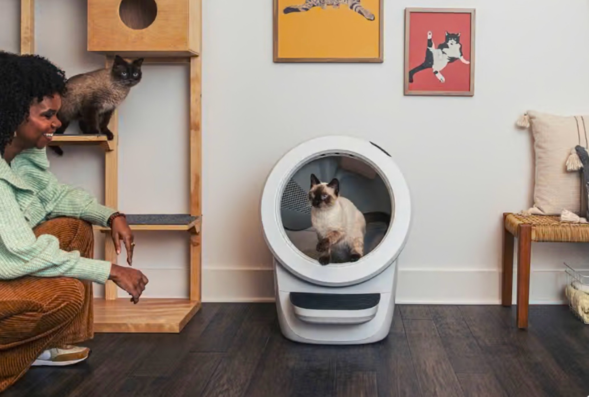 Litter Robot