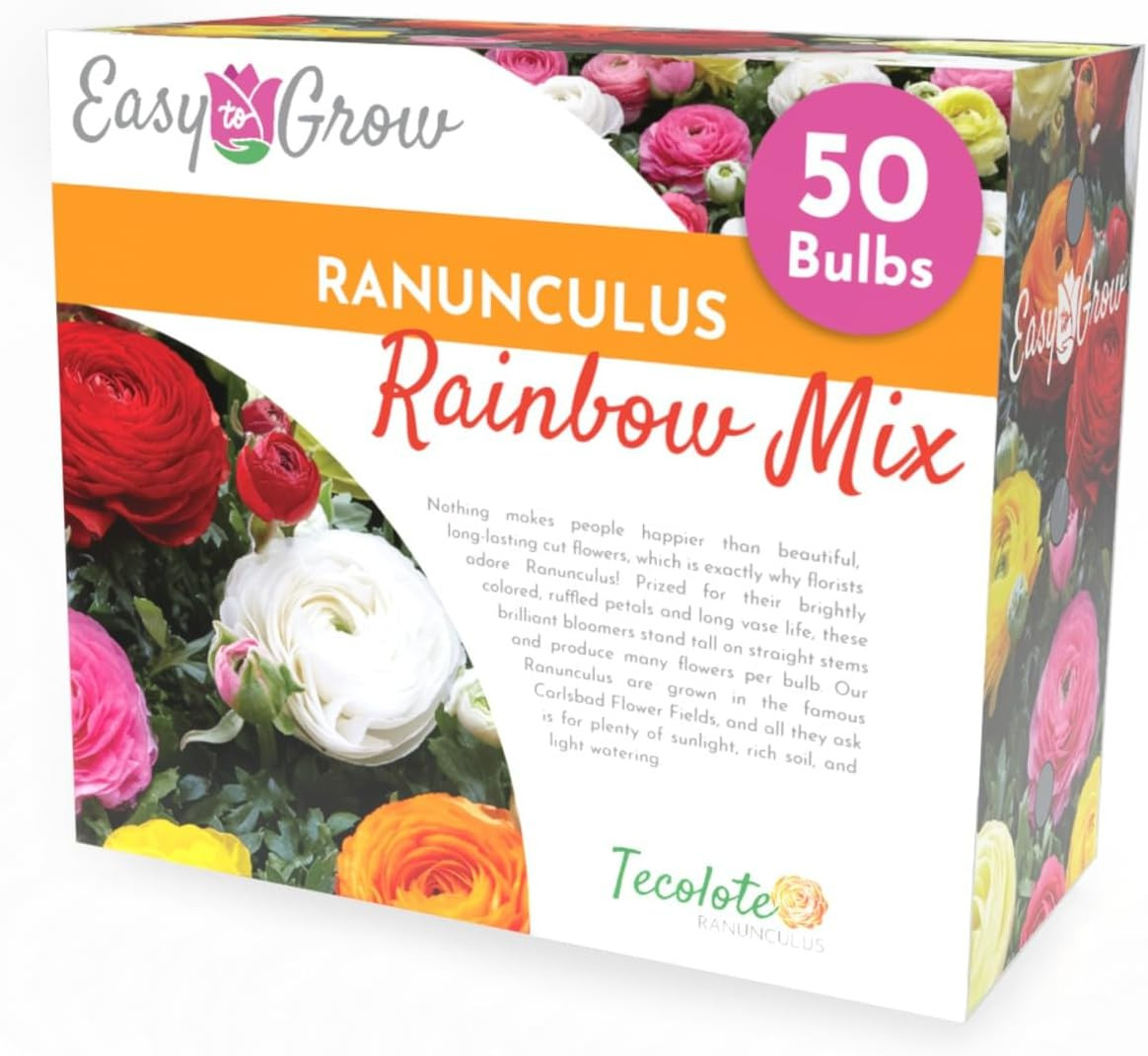Easy to Grow Ranunculus Tecolote 'Rainbow Mix' Plant Bulbs (50) Value Size - Mixed Colors Floweri... | Amazon (US)