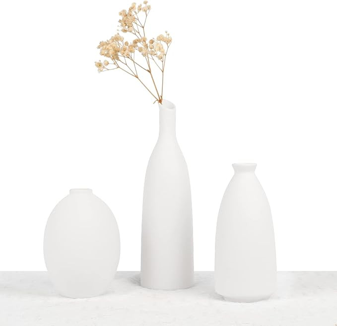 Ceramic Vase for Decor , Small Pampas Grass Flower Vases for Dining Table, Entryway, Shelf, Mantl... | Amazon (US)