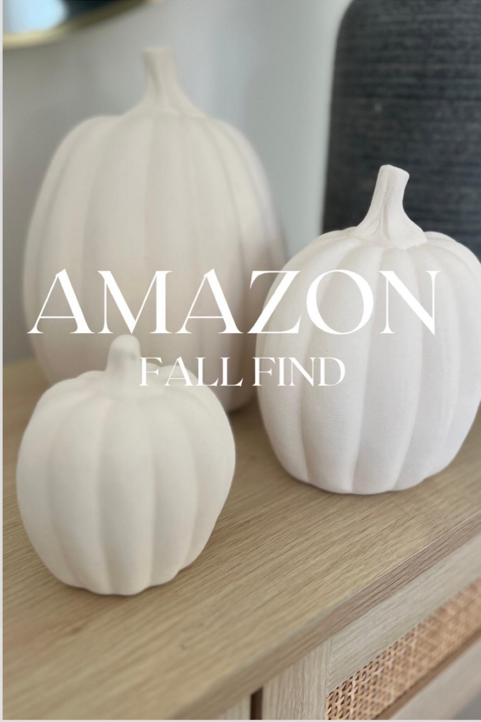 FAUX PUMPKINS🖤🎃👻

White pumpkins, diy pumpkins , terracotta pumpkins, halloween decor, fall decor 

#LTKhome #LTKunder50 #LTKfamily