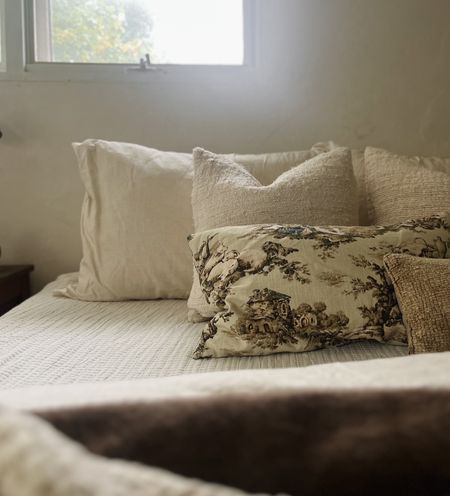 My favorite affordable stonewashed cotton + silk throw pillows 🤩

#LTKGiftGuide #LTKSeasonal #LTKhome