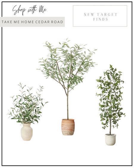 New Faux trees and olive branch plant I love from the studio McGee launch!!

Olive tree, olive stem, faux tree, artificial tree, ficus tree, home decor, target

#LTKhome