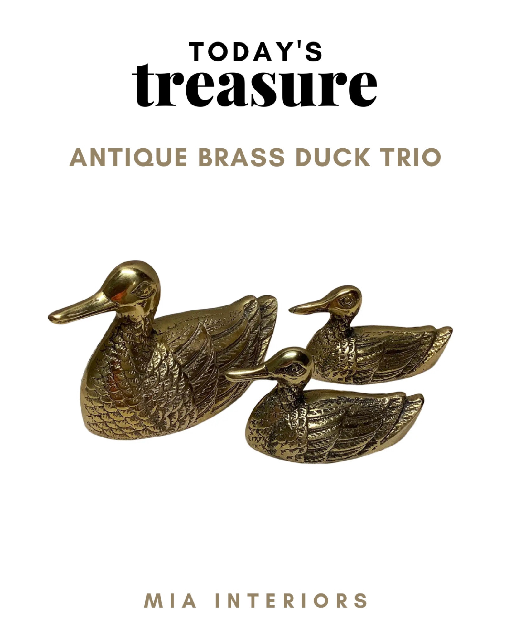 Todays treasure!

#brassdecor #vintagebrass #brass #antiquebrass #homedecor #falldecor 

#LTKunder50 #LTKSeasonal #LTKhome