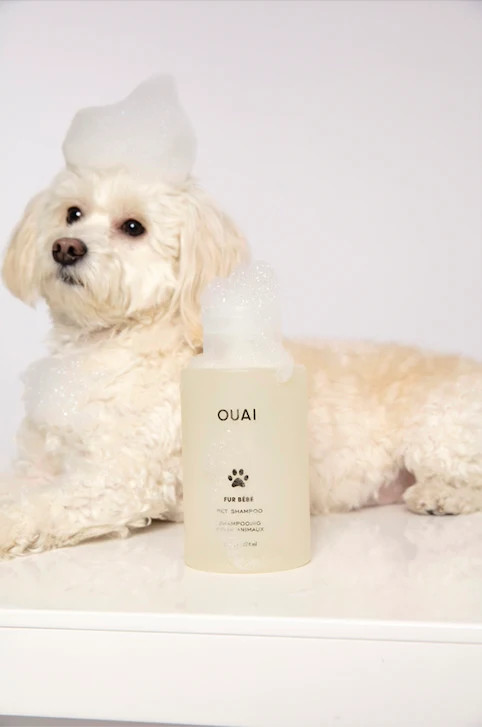 Limited Edition Hair Oil St. Barts | OUAI