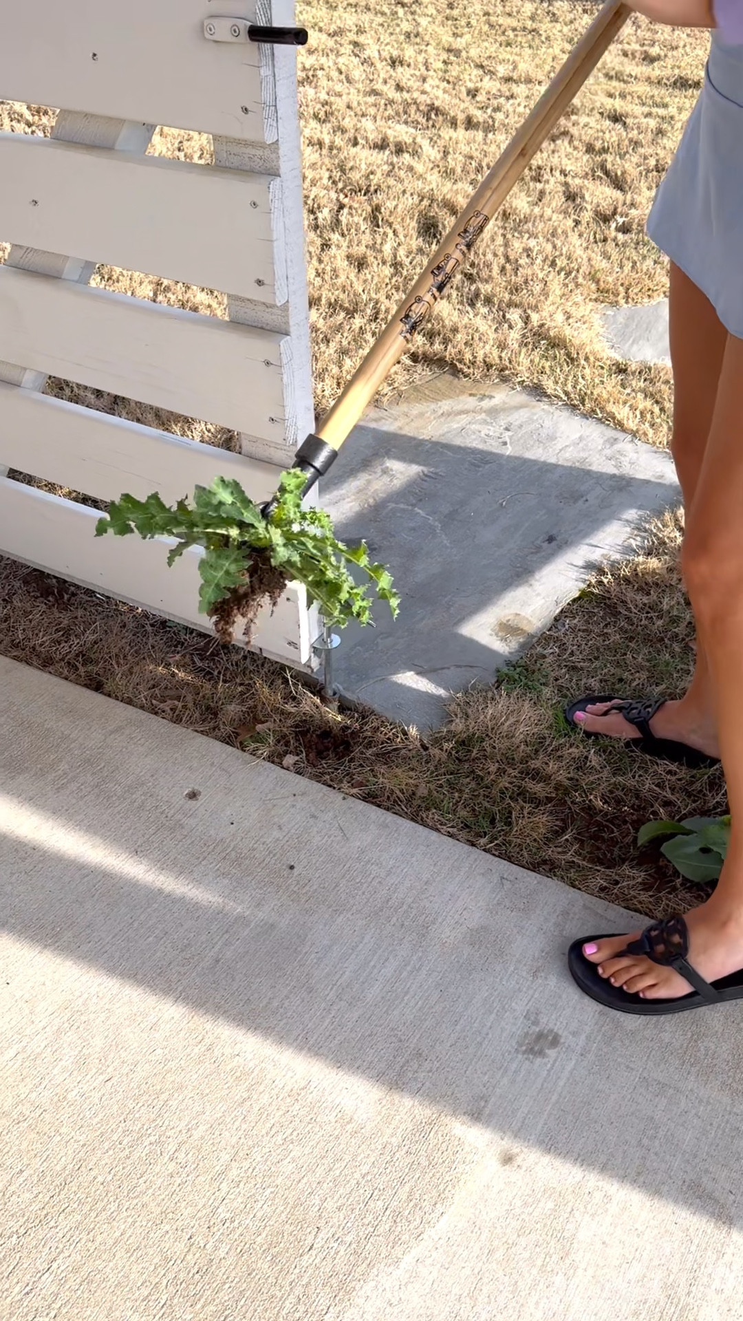 Spring must have!!! The best weed pulling tool!


#LTKSeasonal #LTKHome