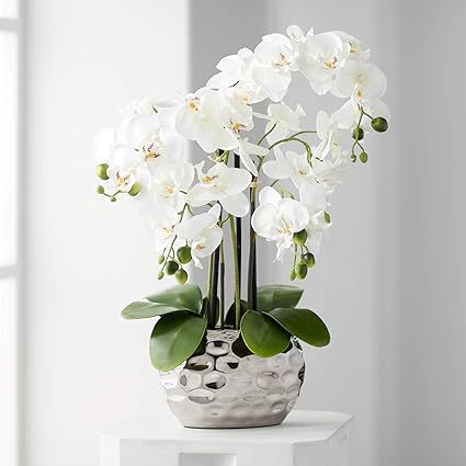 White Phalaenopsis 23" H Faux Orchid in Silver Resin Pot - Dahlia Studios | Amazon (US)