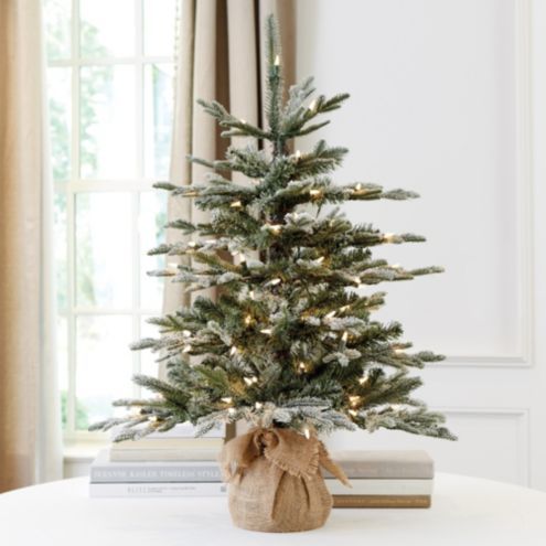 Suzanne Kasler 3' Flocked Frasier Fir Tabletop Tree | Ballard Designs, Inc.