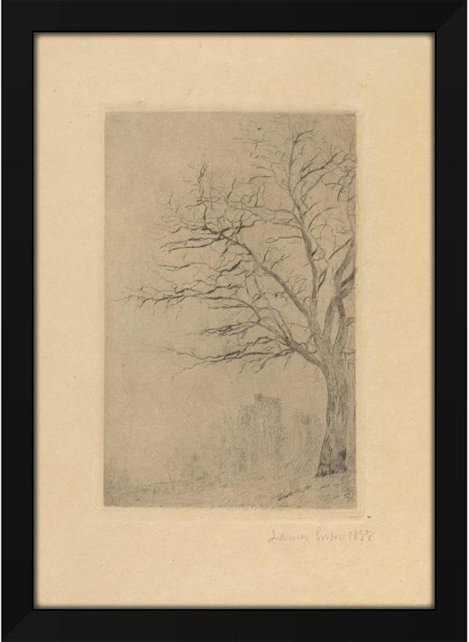 James Ensor 14x18 Black Modern Framed Art Print Titled: Acacia (1888) | Amazon (US)