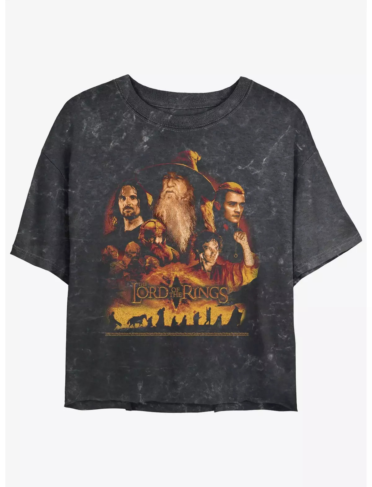 The Lord of the Rings A Long Journey Ahead Womens Mineral Wash Crop T-Shirt | BoxLunch