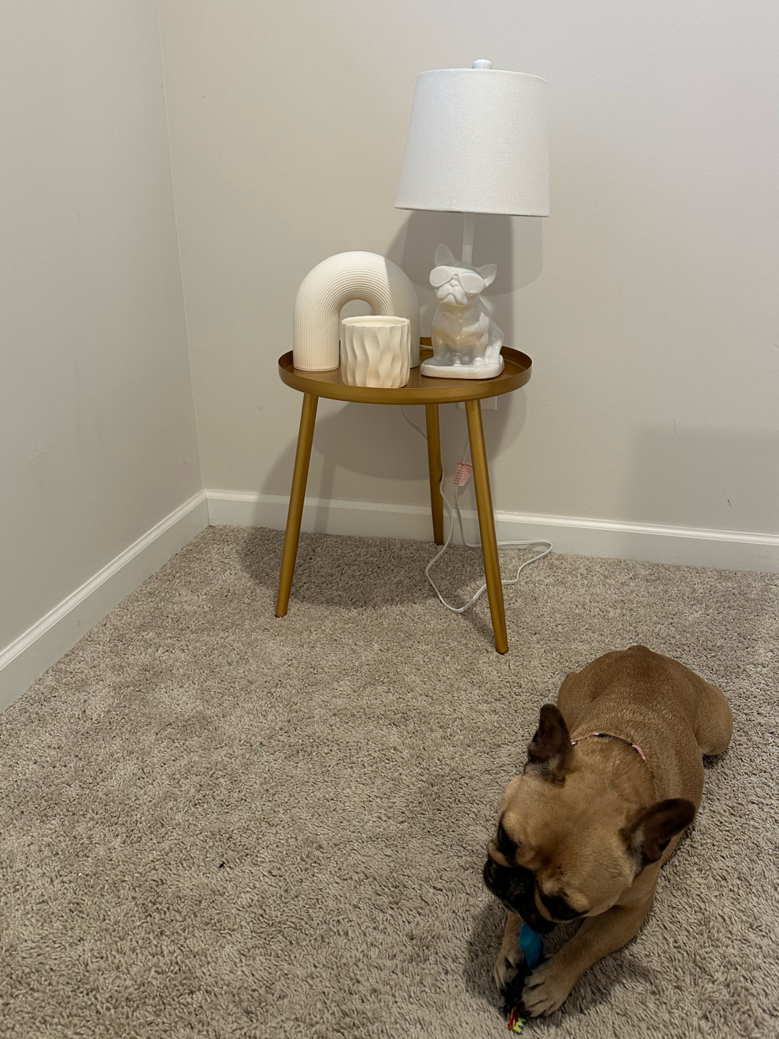 The cutest little table on sale for under $30 on Amazon! The rest of the items are from home goods but I will link similar items. French bulldog not for sale 😂🐶

#LTKsalealert #LTKhome #LTKfindsunder50
