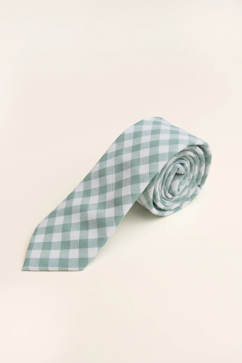 Max Mens Tie in Mint Gingham | Ivy City Co