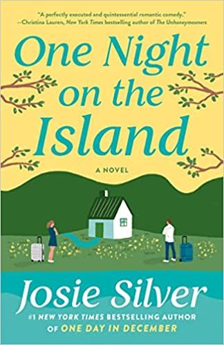 One Night on the Island: A Novel     Paperback – February 15, 2022 | Amazon (US)
