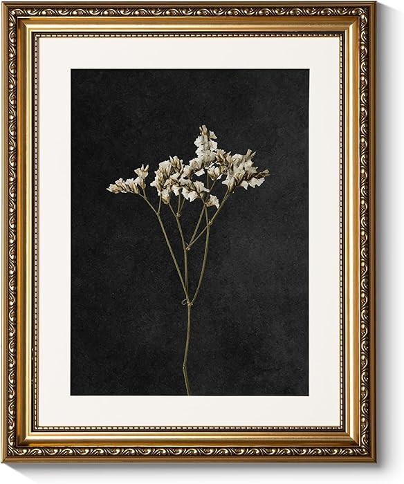 ARPEOTCY Vintage Gold Framed Wall Art, Retro Dark Dried Wildflower Paintings, Canvas Prints Artwo... | Amazon (US)