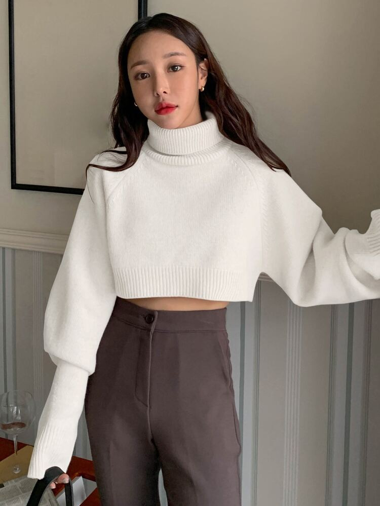 DAZY Turtle Neck Raglan Sleeve Crop Sweater | SHEIN