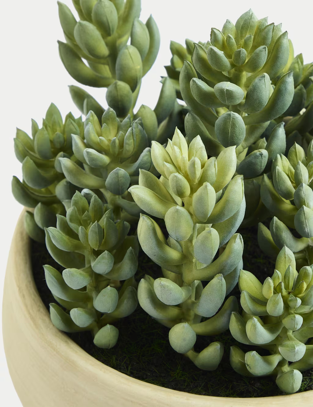 Artificial Succulents in Cement Pot | Marks & Spencer (UK)