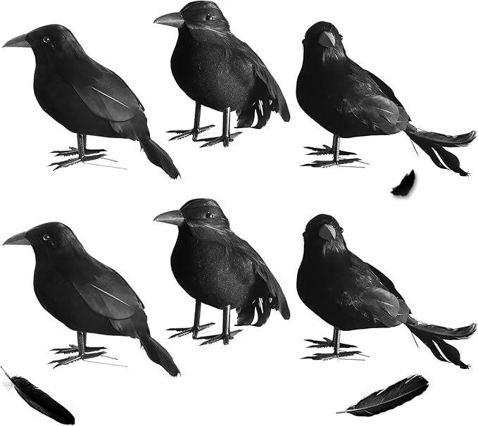 Handmade Realistic Feathered Black Crows Set of 6 Halloween Raven Black Birds 3 Styles for Hallow... | Amazon (CA)
