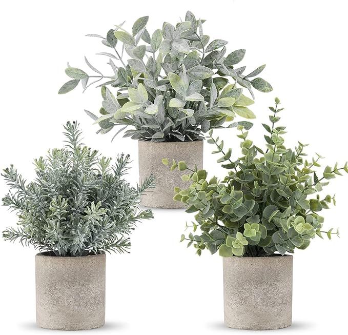 ROMAY 3 Pack Mini Potted Artificial Plants Fake Eucalyptus Greenery in Pots for Home Office Desk ... | Amazon (US)