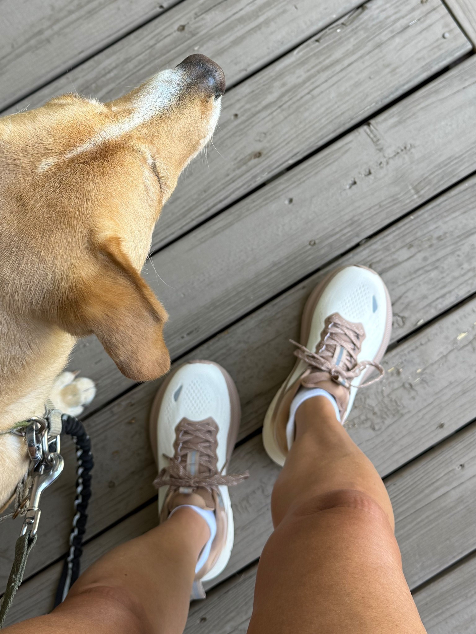 Trying out my new shoes today- fit tts

#LTKActive #LTKShoeCrush