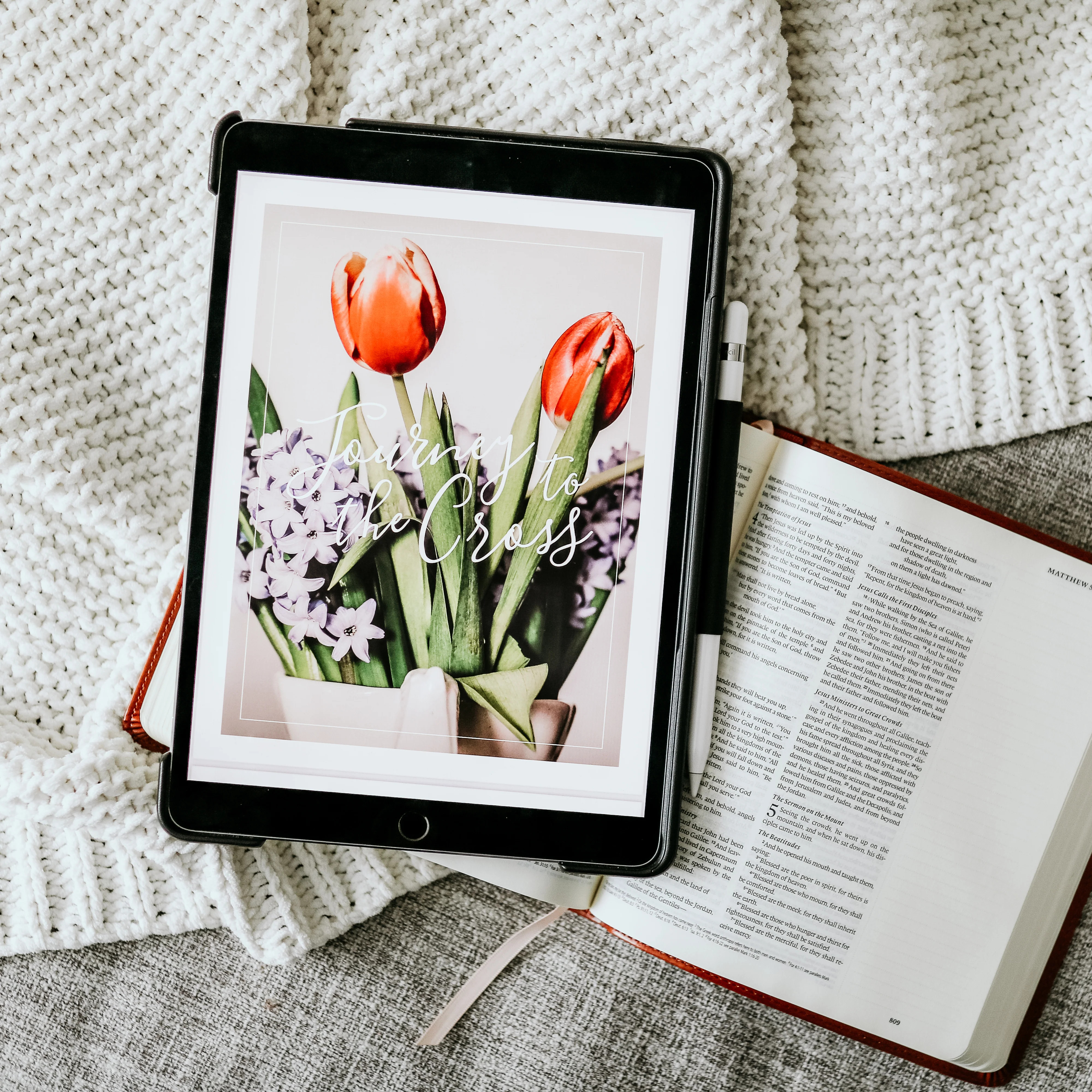 Journey to the Cross - PDF Study | The Daily Grace Co.