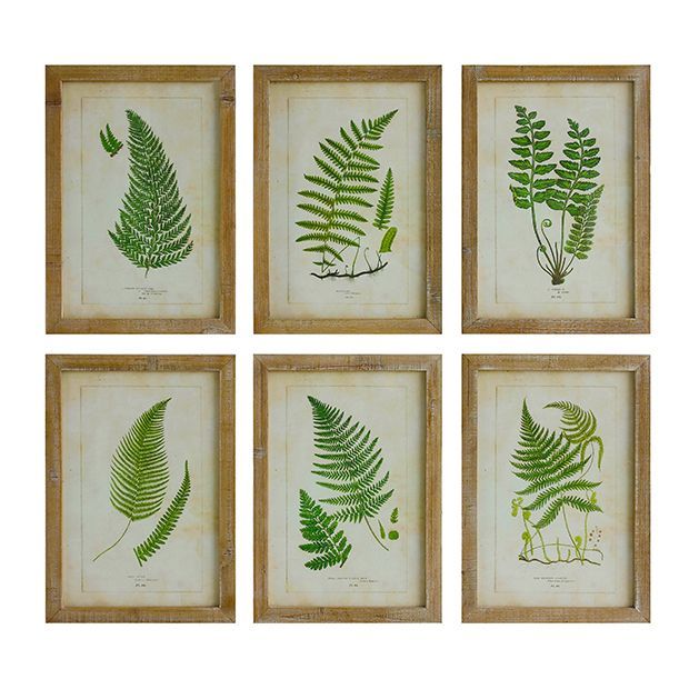 Framed Wall Decor With Ferns Set of 6 | Antique Farm House