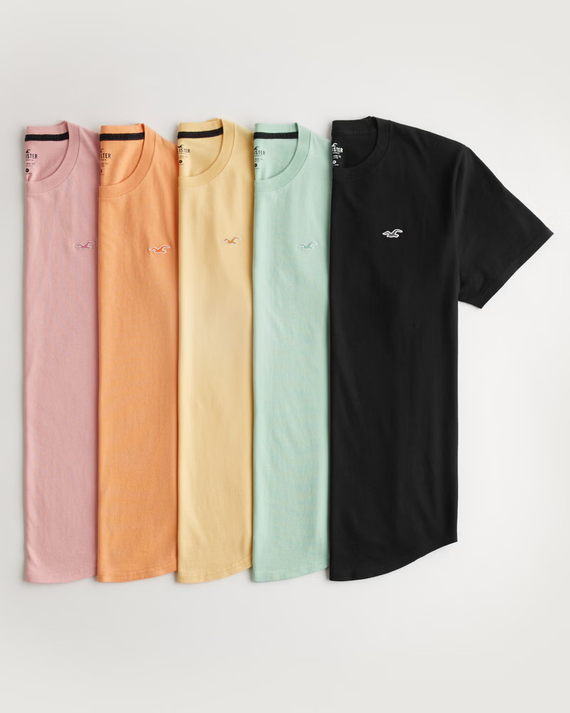 Men's Curved Hem Logo Icon T-Shirt 5-Pack | Men's The Warehouse Sale Up to 60% Off | HollisterCo.... | Hollister (US)