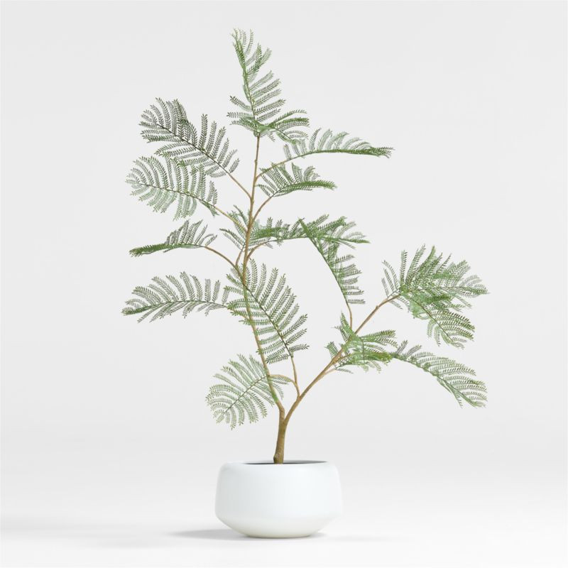 Potted Faux Fern 3' + Reviews | Crate & Barrel | Crate & Barrel